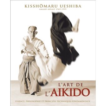 Lesen Sie mehr über den Artikel Die Kunst des Aikido
